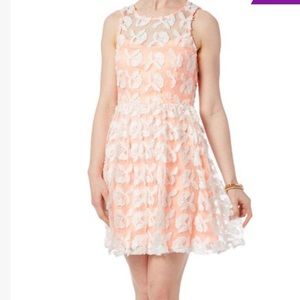 Minuet Peach Lace Overlay Dress